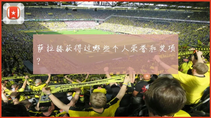 萨拉赫获得过哪些个人荣誉和奖项？