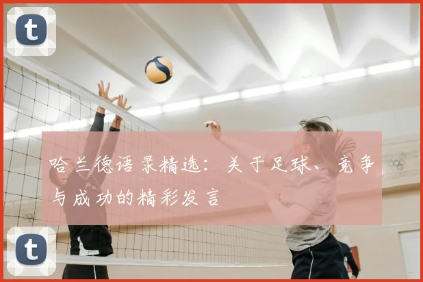 哈兰德语录精选：关于足球、竞争与成功的精彩发言