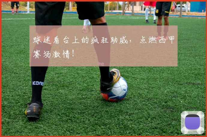 球迷看台上的疯狂助威，点燃西甲赛场激情！
