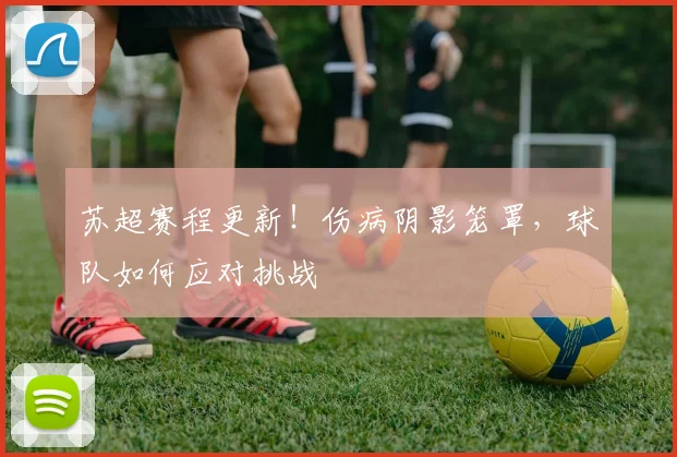 苏超赛程更新！伤病阴影笼罩，球队如何应对挑战